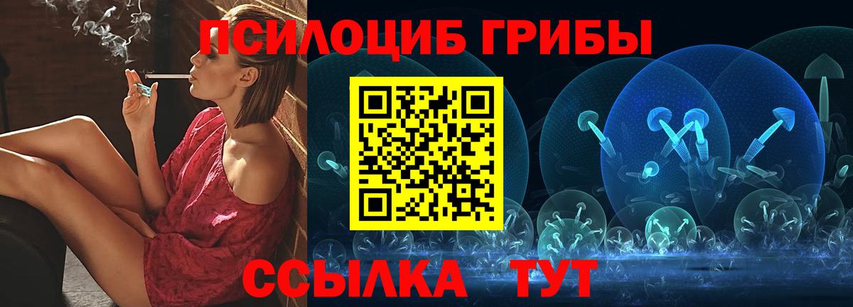 Галлюциногенные грибы Psilocybine cubensis  Галлюциногенные грибы MAGIC MUSHROOMS  Вход с VPN  Майкоп 