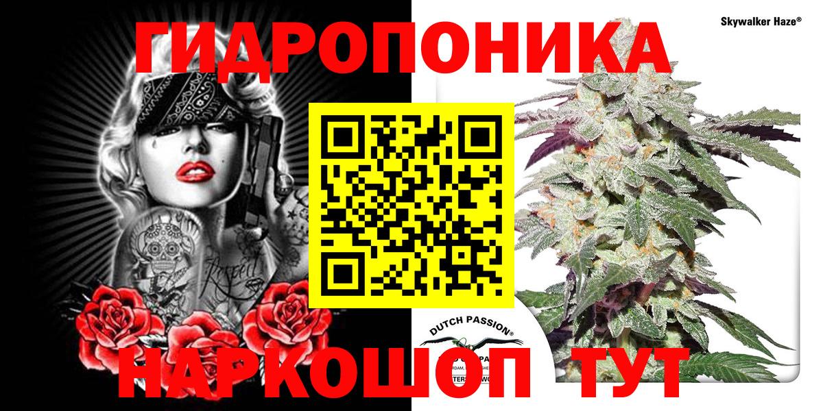 Канабис ГИДРОПОН Майкоп